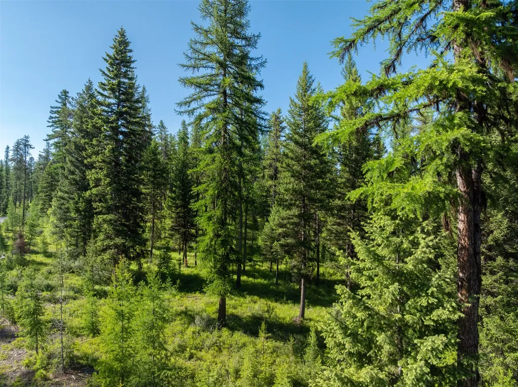 2600 Mountain Home Lot 17 Road Whitefish MT 59937
