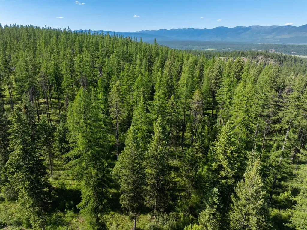 2600 Mountain Home Lot 17 Road Whitefish MT 59937