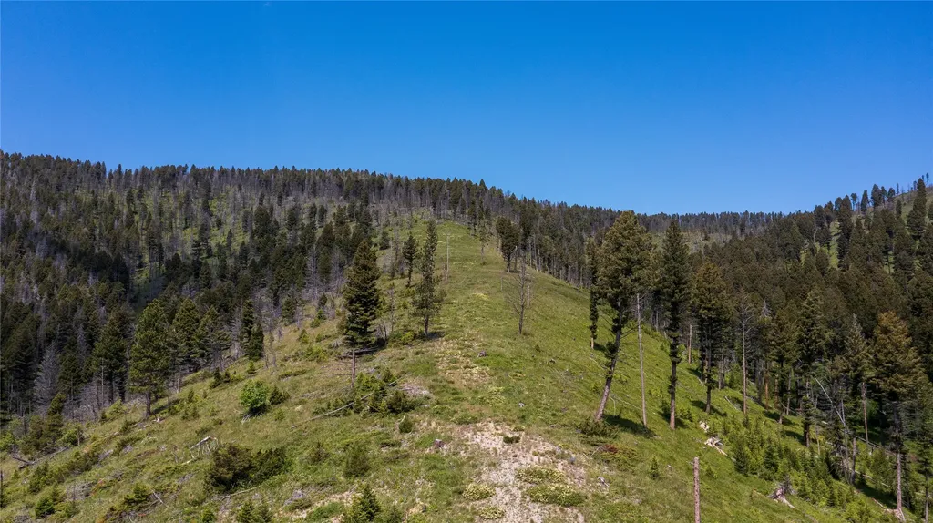 12968 Flesher Acres Road Canyon Creek MT 59633
