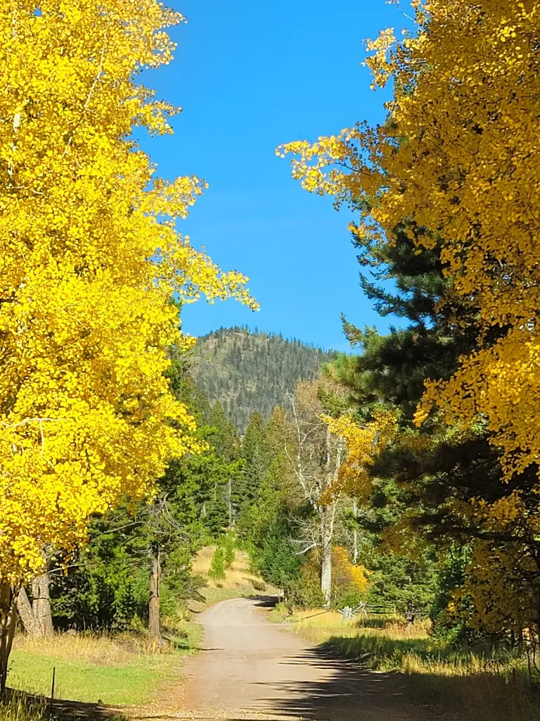 12968 Flesher Acres Road Canyon Creek MT 59633