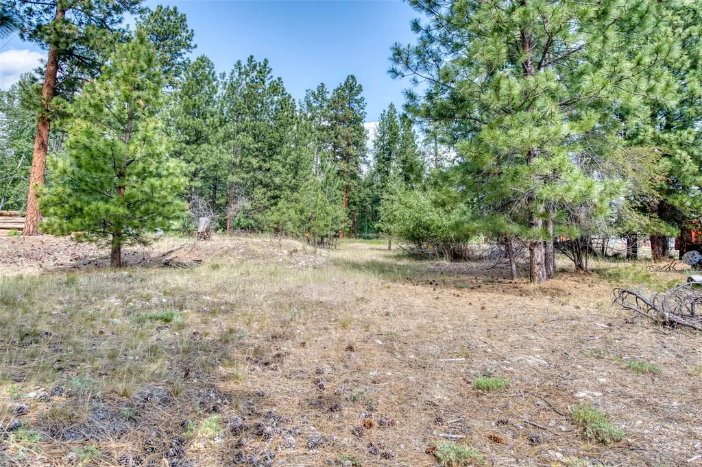3565 Us Highway 93 S Darby MT 59829