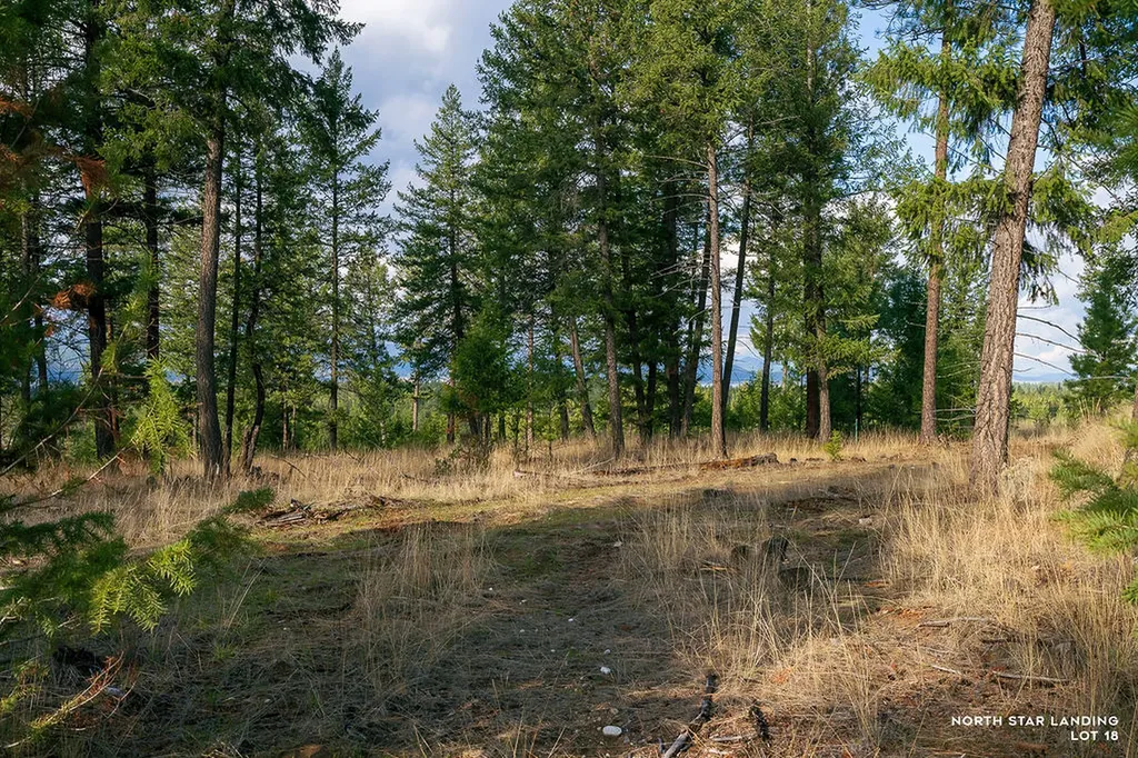 Lot 18 Lake Heights Eureka MT 59917
