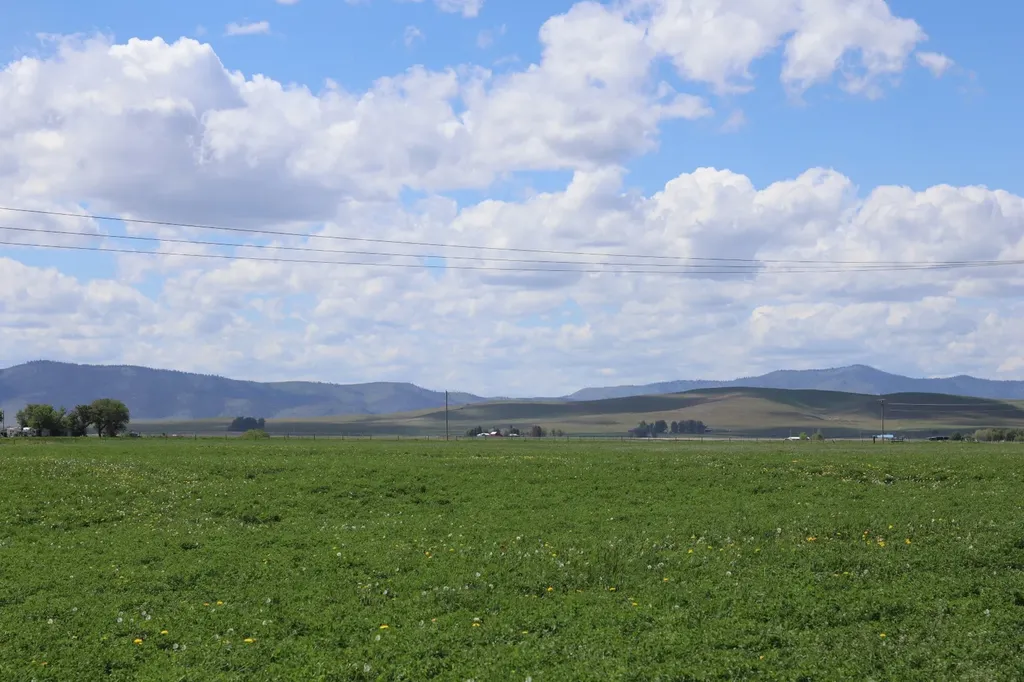 Nhn Stasso Road Ronan MT 59864