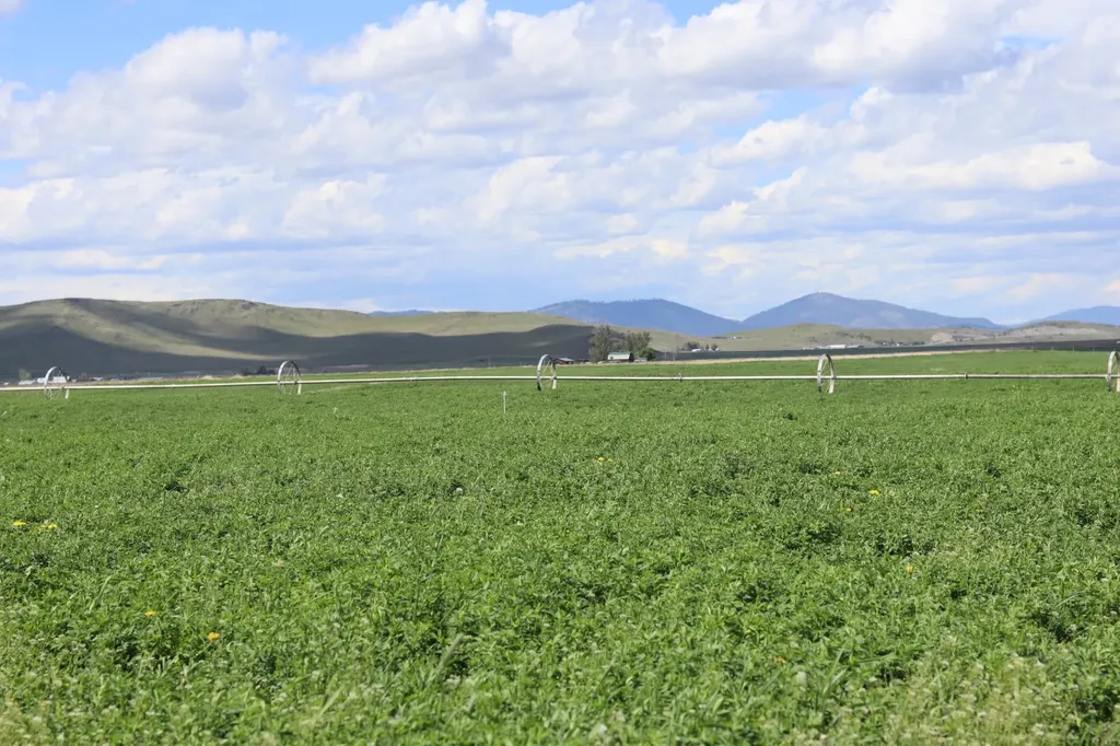 Nhn Stasso Road Ronan MT 59864