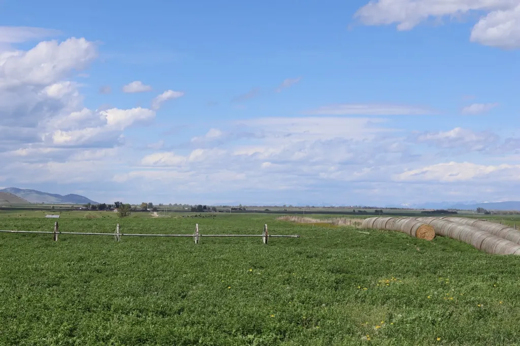Nhn Stasso Road Ronan MT 59864