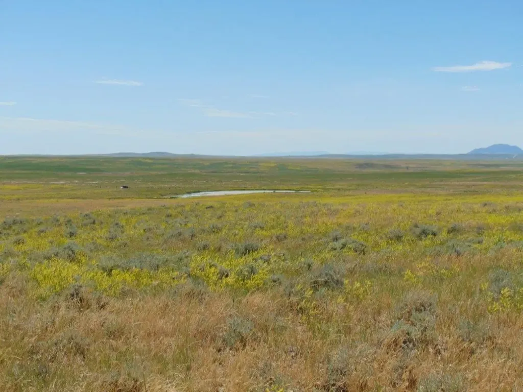 Tbd Wilder Trail Lewistown MT 59457