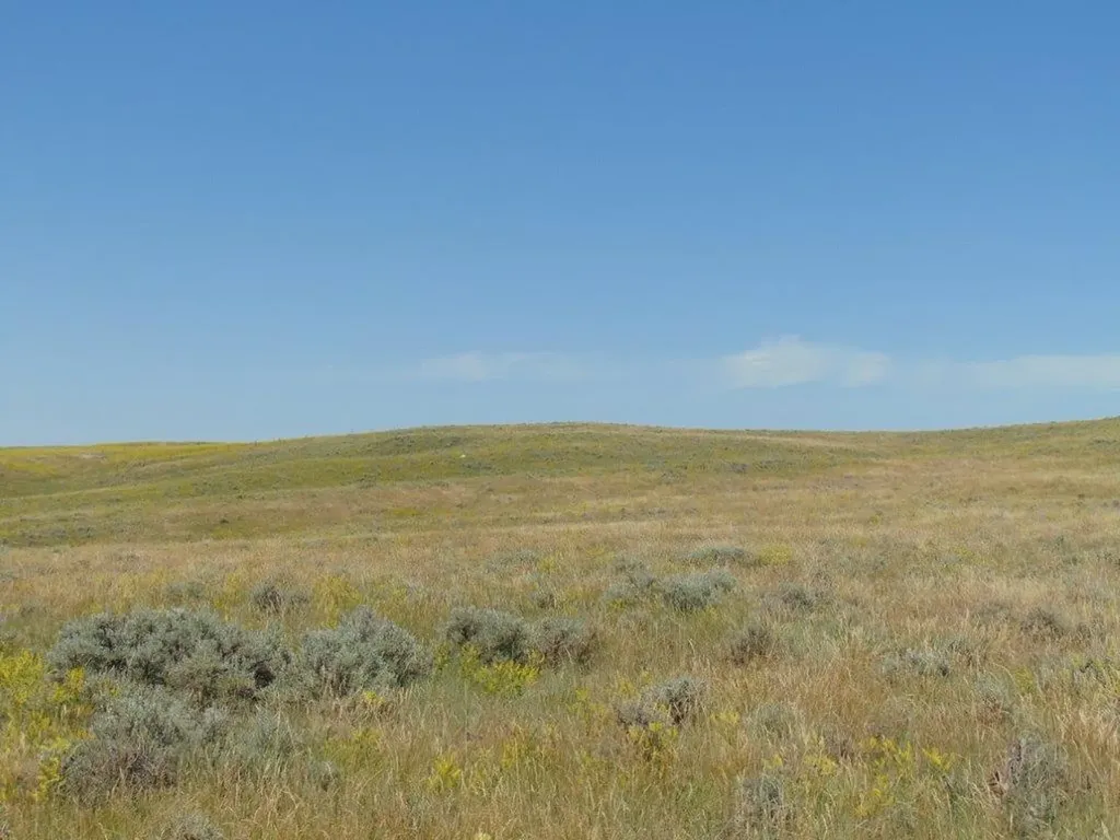 Tbd Wilder Trail Lewistown MT 59457