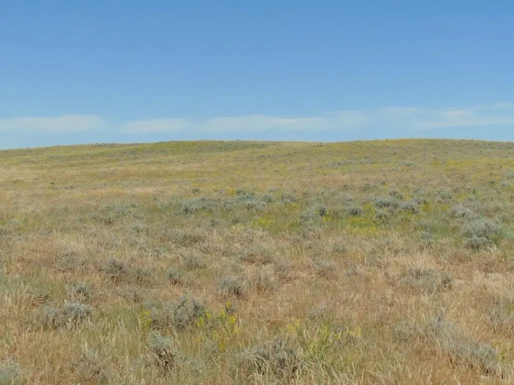 Tbd Wilder Trail Lewistown MT 59457