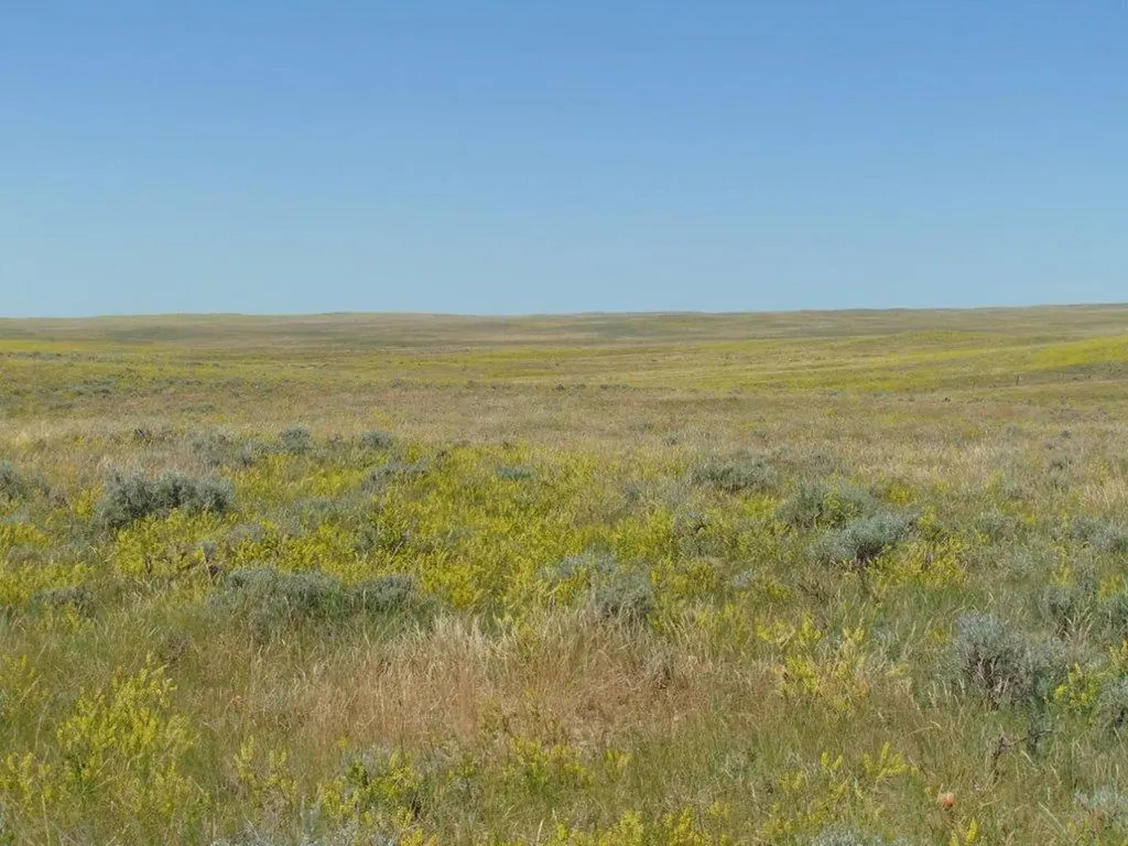 Tbd Wilder Trail Lewistown MT 59457