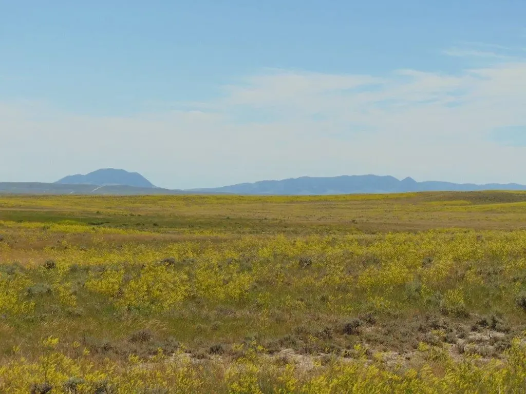 Tbd Wilder Trail Lewistown MT 59457