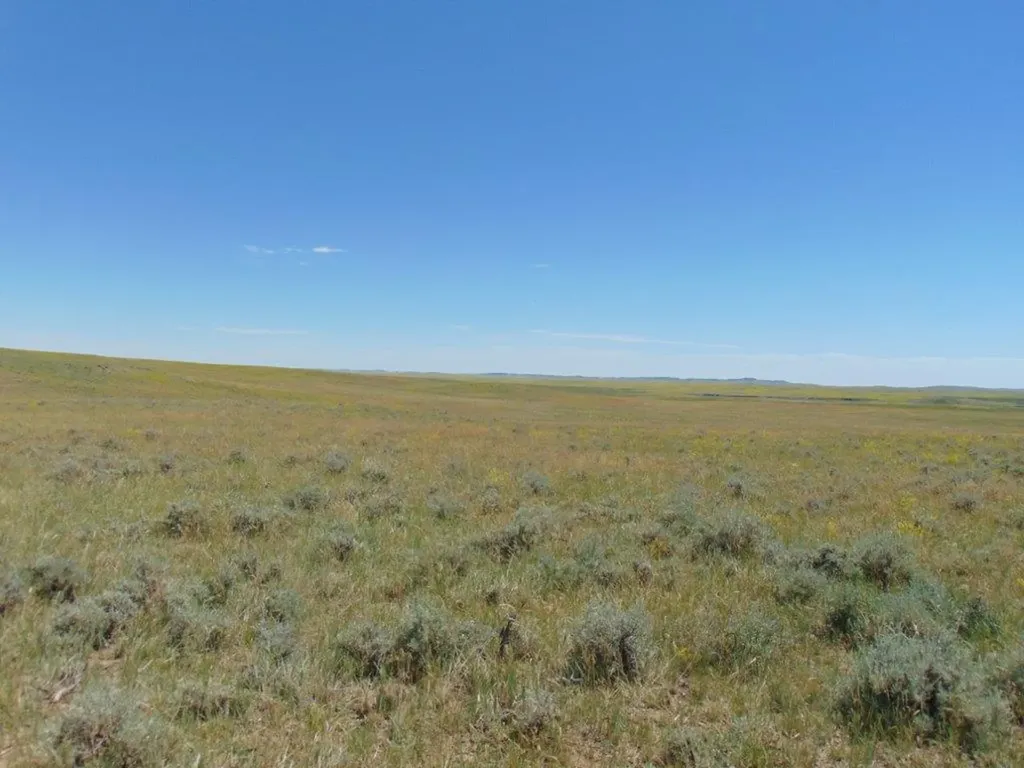 Tbd Wilder Trail Lewistown MT 59457
