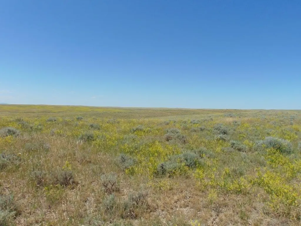 Tbd Wilder Trail Lewistown MT 59457