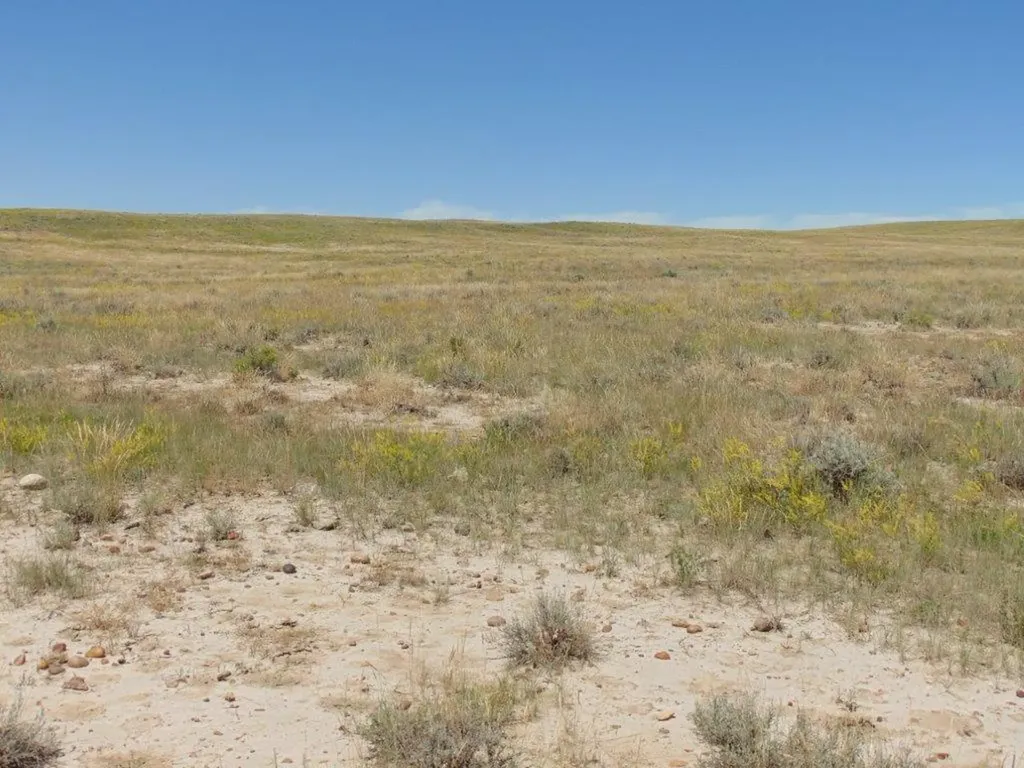 Tbd Wilder Trail Lewistown MT 59457
