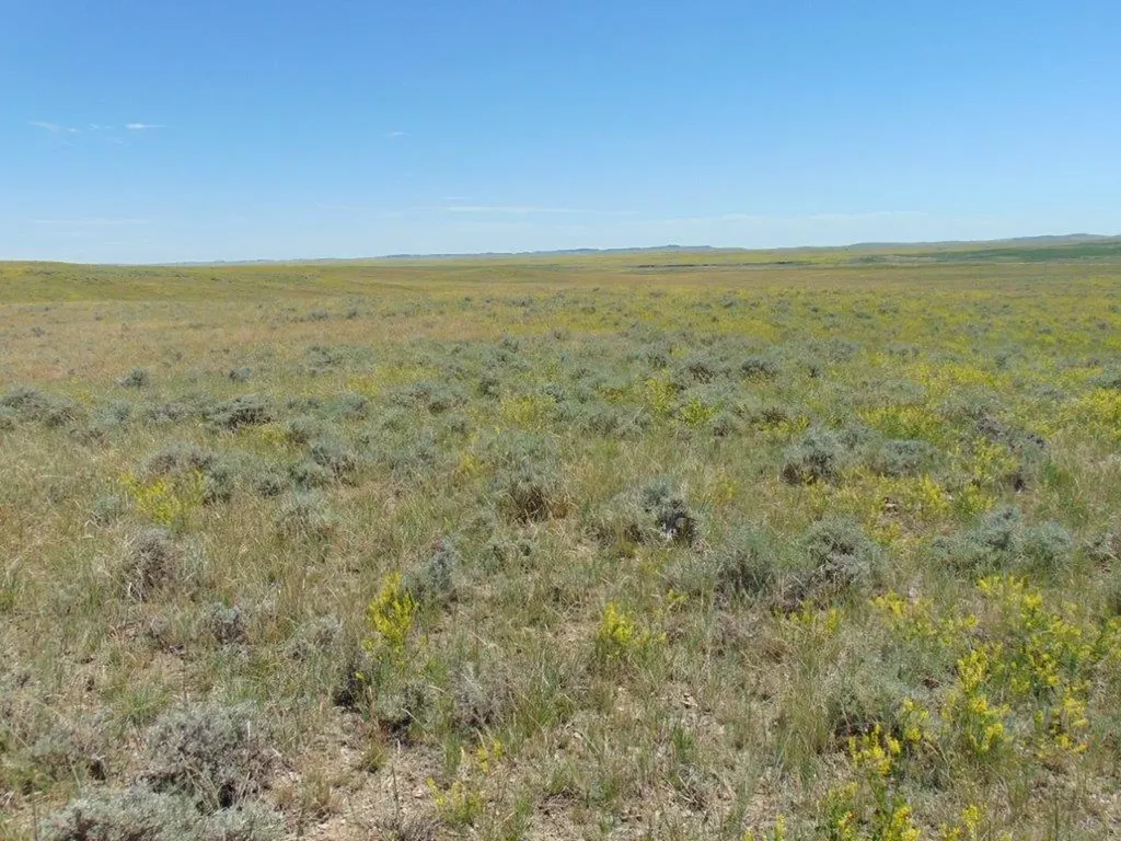 Tbd Wilder Trail Lewistown MT 59457
