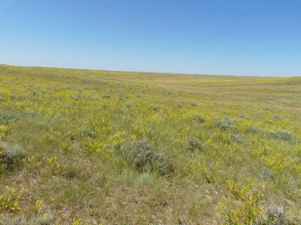 Tbd Wilder Trail Lewistown MT 59457