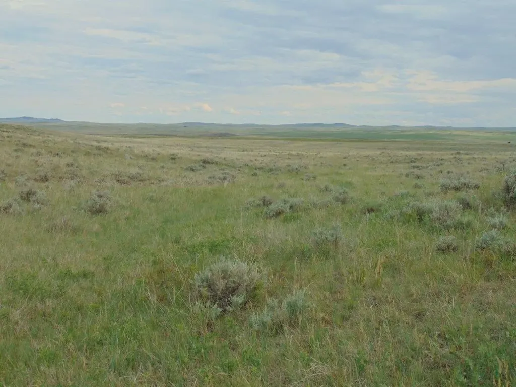 Tbd Wilder Trail Lewistown MT 59457