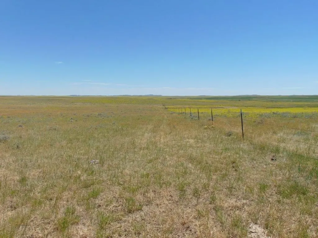Tbd Wilder Trail Lewistown MT 59457