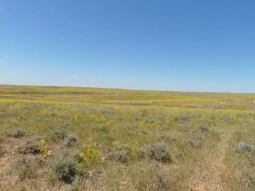 Tbd Wilder Trail Lewistown MT 59457