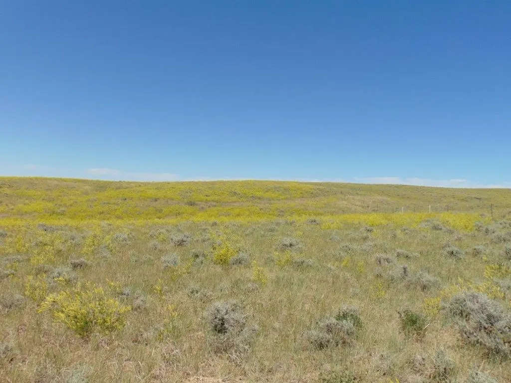 Tbd Wilder Trail Lewistown MT 59457