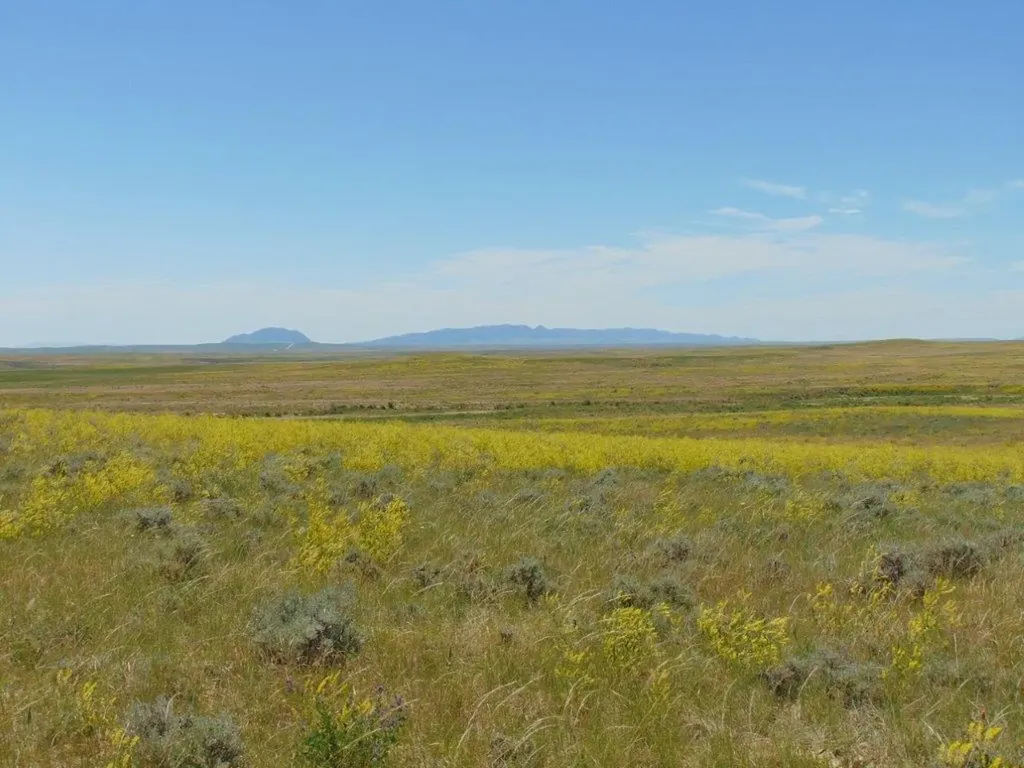 Tbd Wilder Trail Lewistown MT 59457