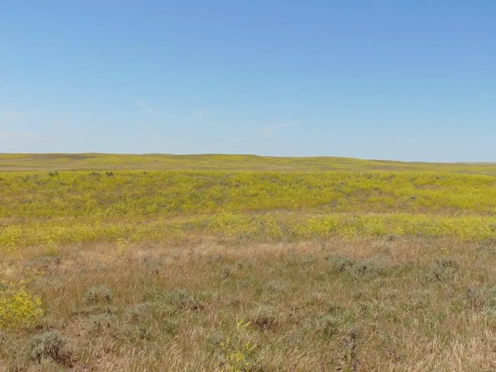 Tbd Wilder Trail Lewistown MT 59457