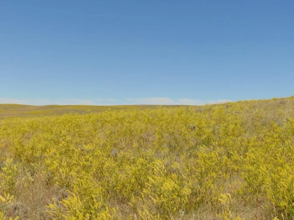 Tbd Wilder Trail Lewistown MT 59457