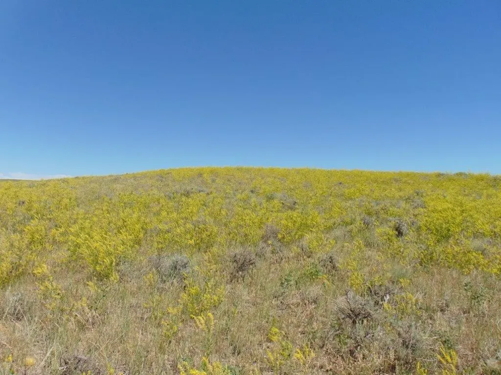 Tbd Wilder Trail Lewistown MT 59457