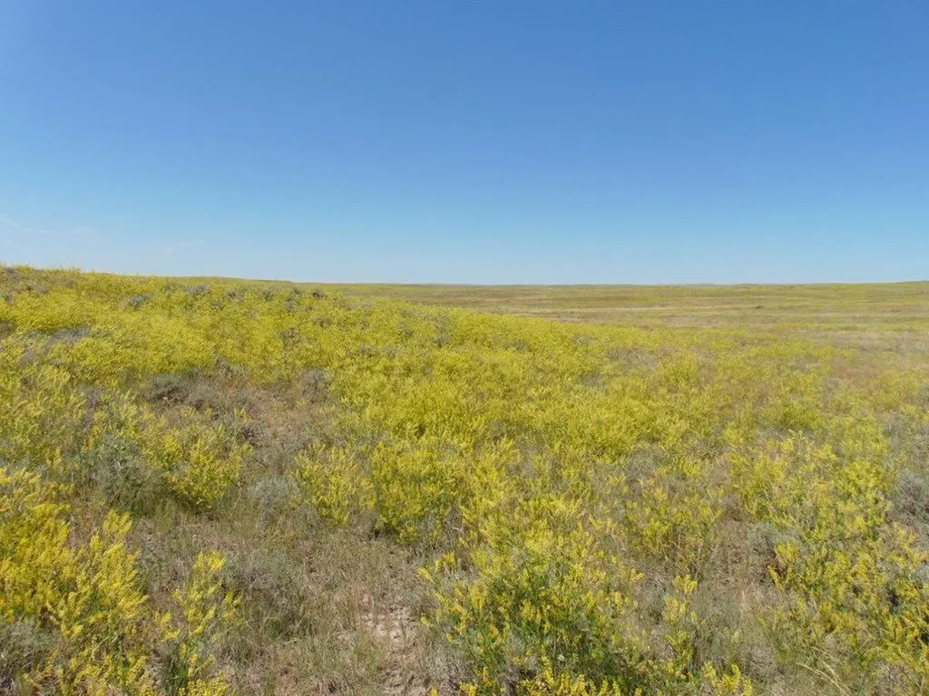 Tbd Wilder Trail Lewistown MT 59457