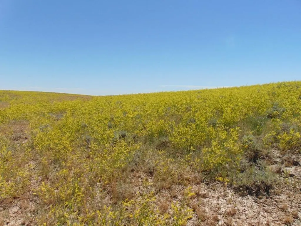 Tbd Wilder Trail Lewistown MT 59457