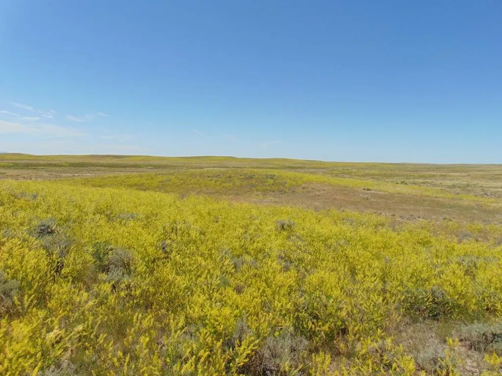 Tbd Wilder Trail Lewistown MT 59457