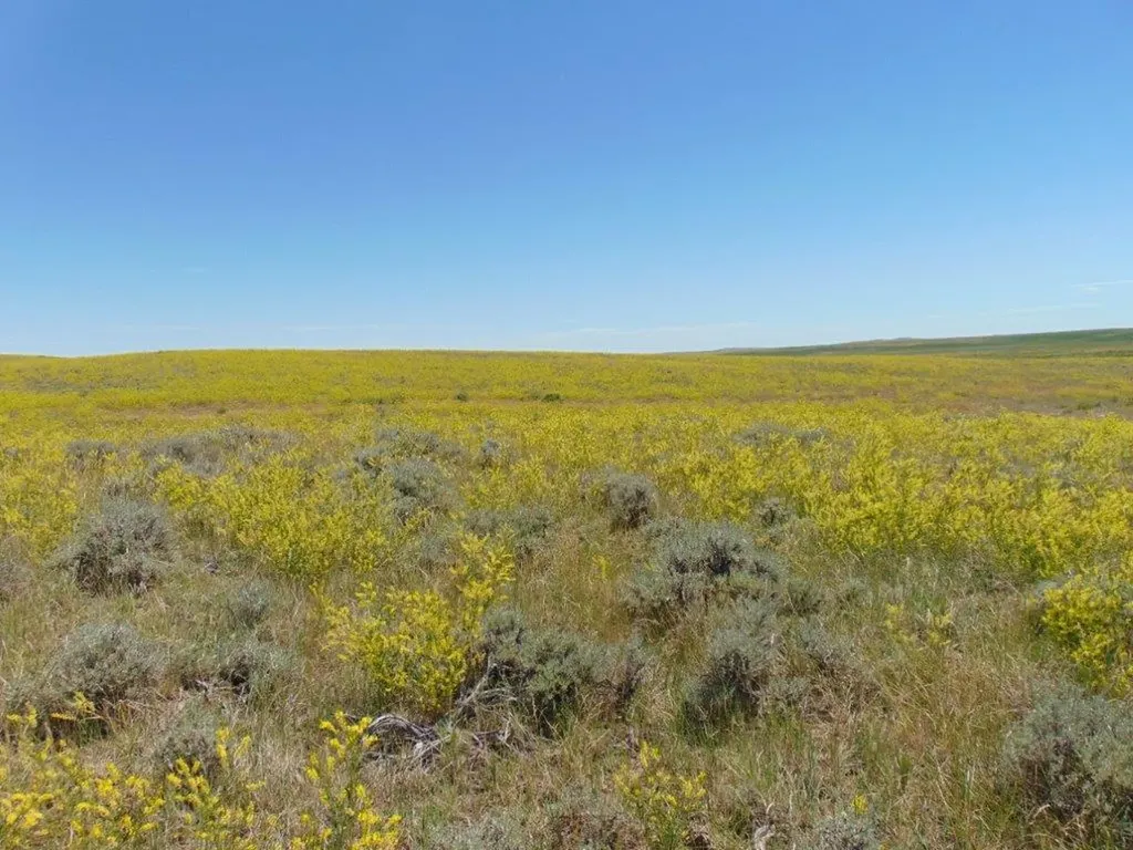 Tbd Wilder Trail Lewistown MT 59457