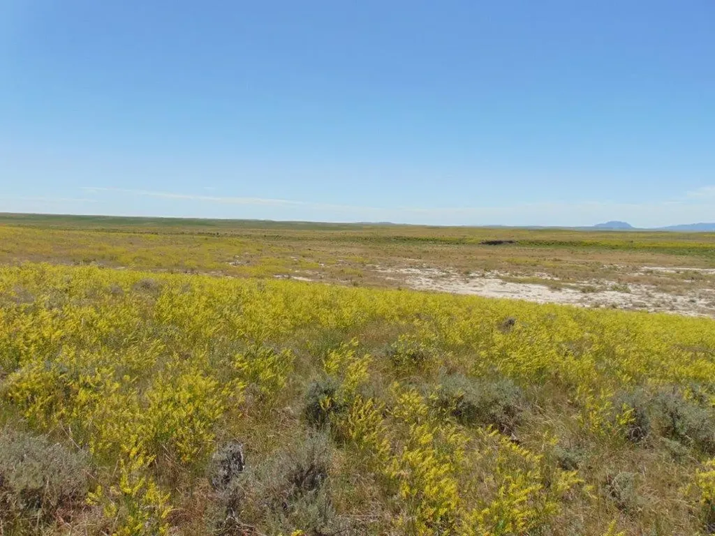 Tbd Wilder Trail Lewistown MT 59457