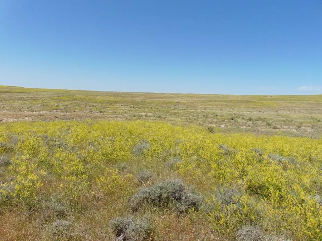 Tbd Wilder Trail Lewistown MT 59457