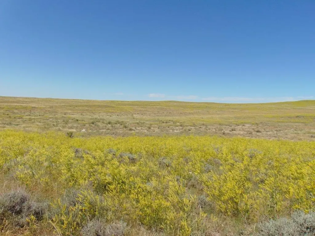 Tbd Wilder Trail Lewistown MT 59457