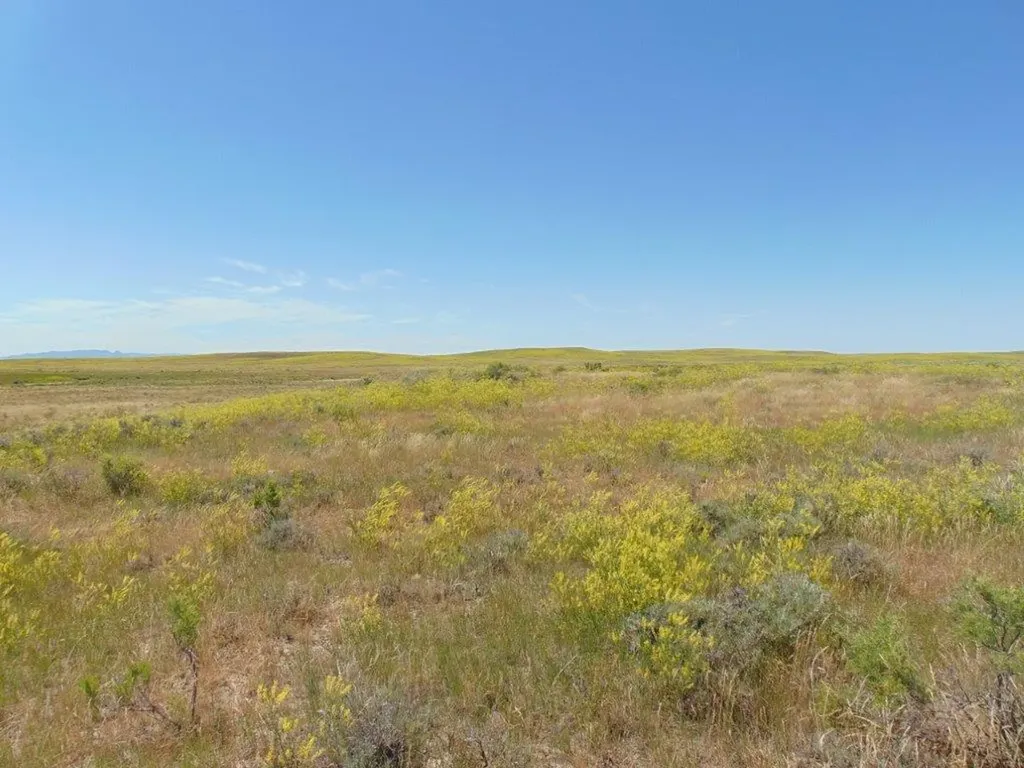 Tbd Wilder Trail Lewistown MT 59457