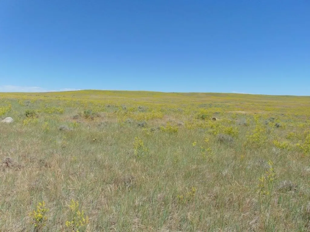 Tbd Wilder Trail Lewistown MT 59457