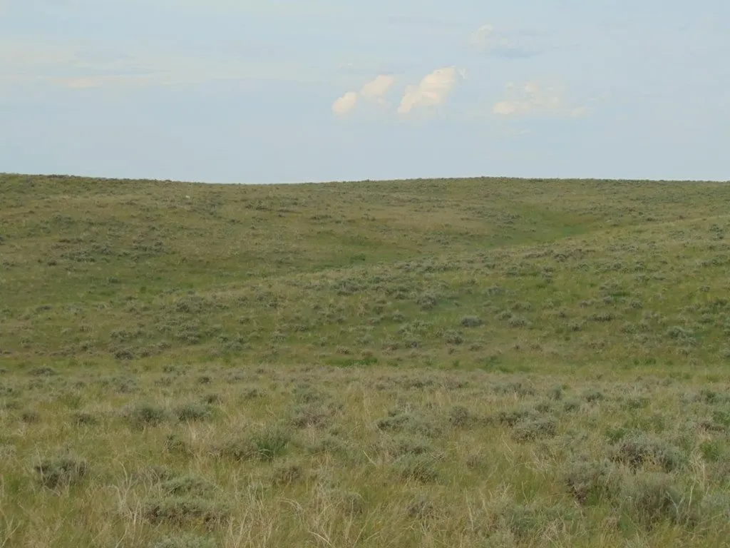 Tbd Wilder Trail Lewistown MT 59457