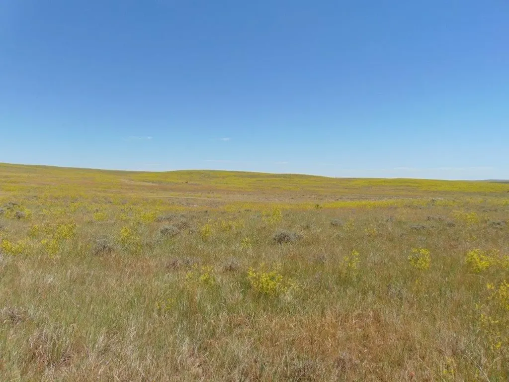 Tbd Wilder Trail Lewistown MT 59457