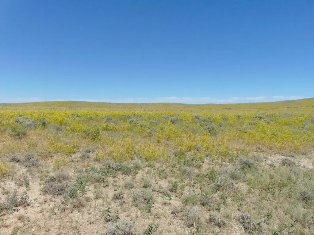 Tbd Wilder Trail Lewistown MT 59457