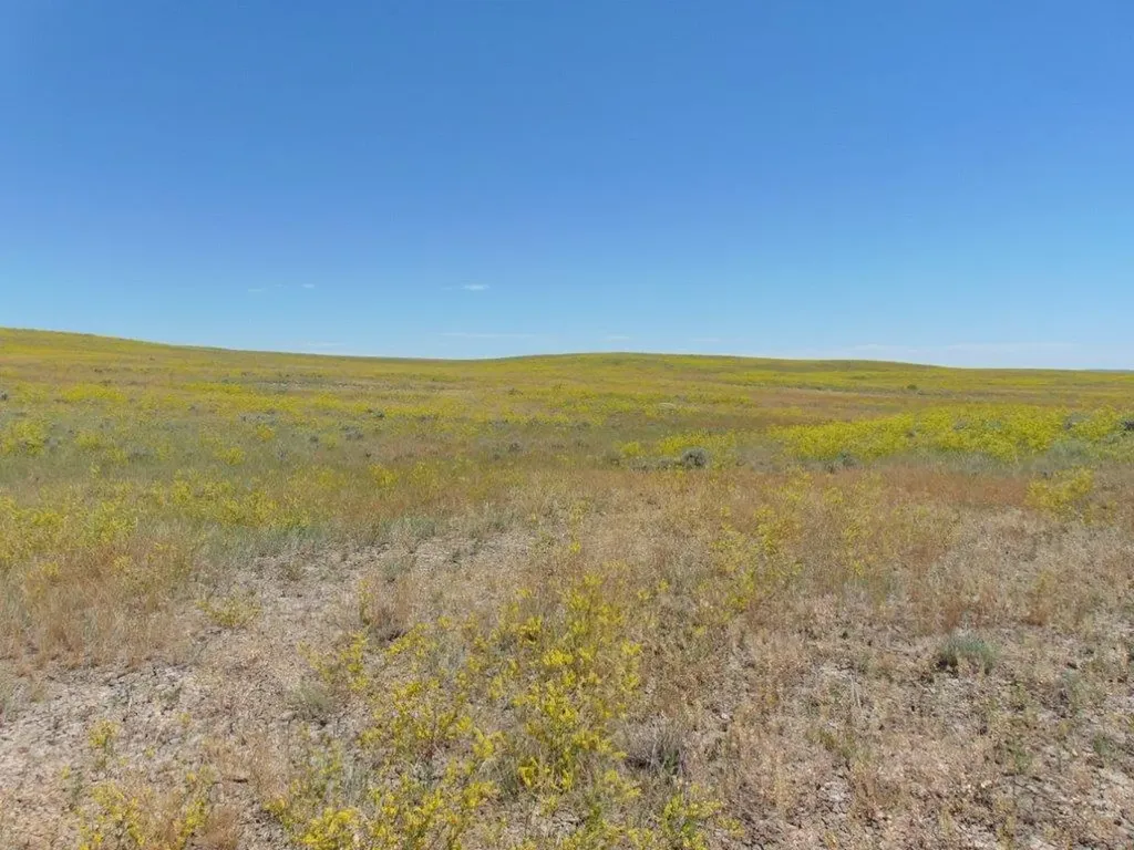 Tbd Wilder Trail Lewistown MT 59457