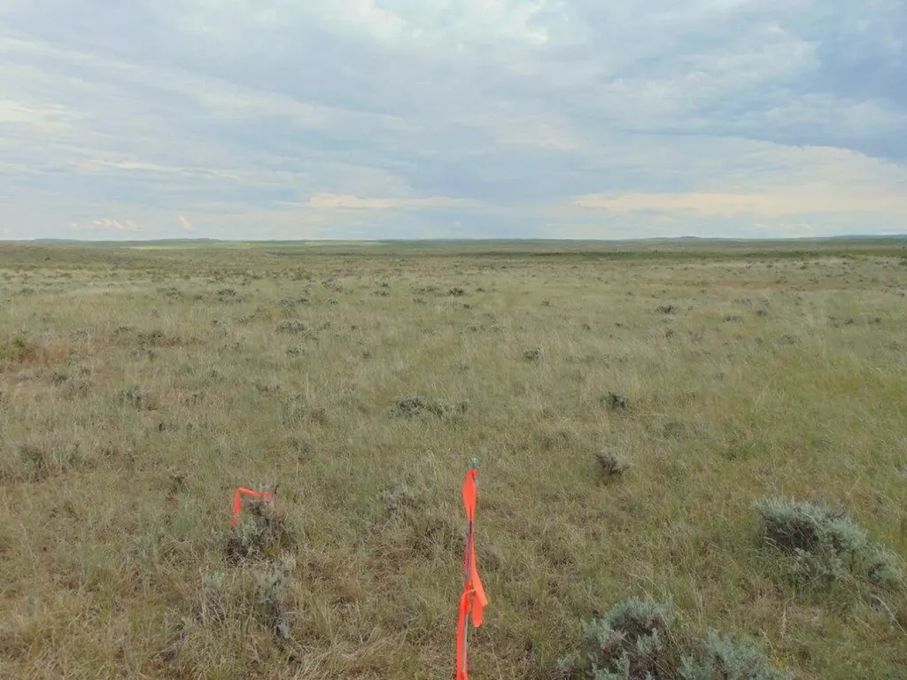 Tbd Wilder Trail Lewistown MT 59457