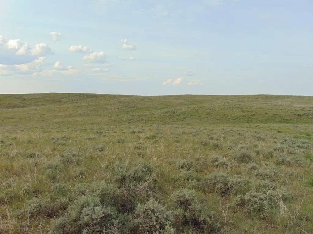 Tbd Wilder Trail Lewistown MT 59457