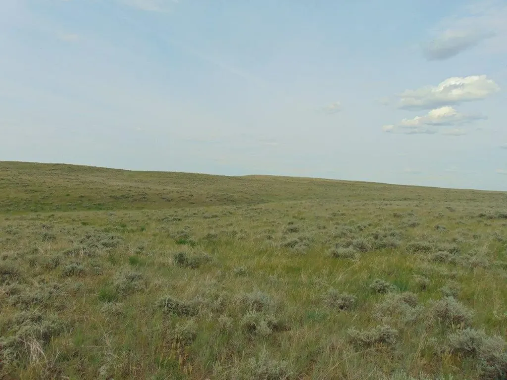 Tbd Wilder Trail Lewistown MT 59457