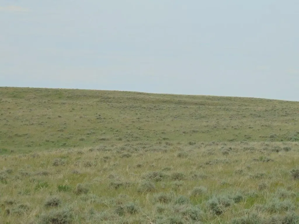 Tbd Wilder Trail Lewistown MT 59457