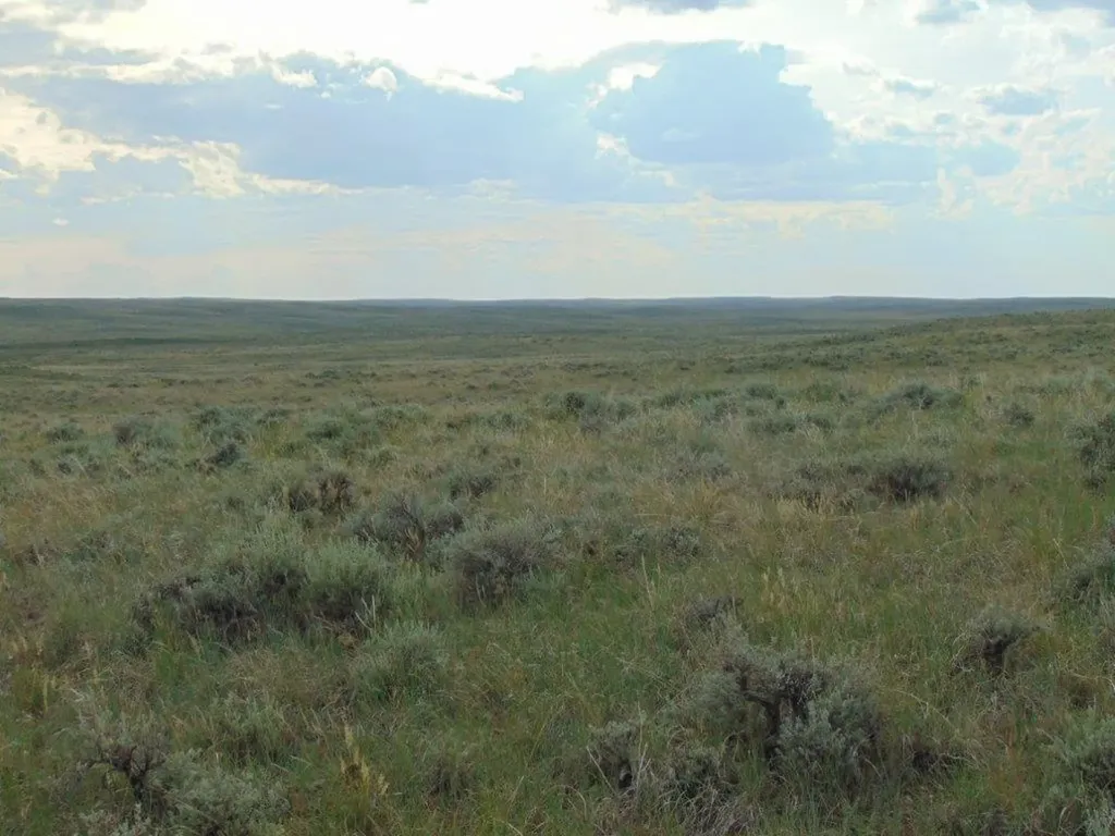 Tbd Wilder Trail Lewistown MT 59457