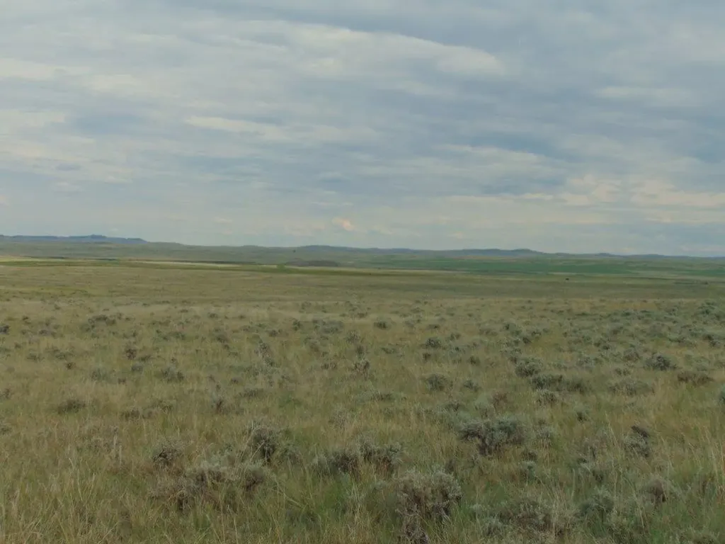 Tbd Wilder Trail Lewistown MT 59457