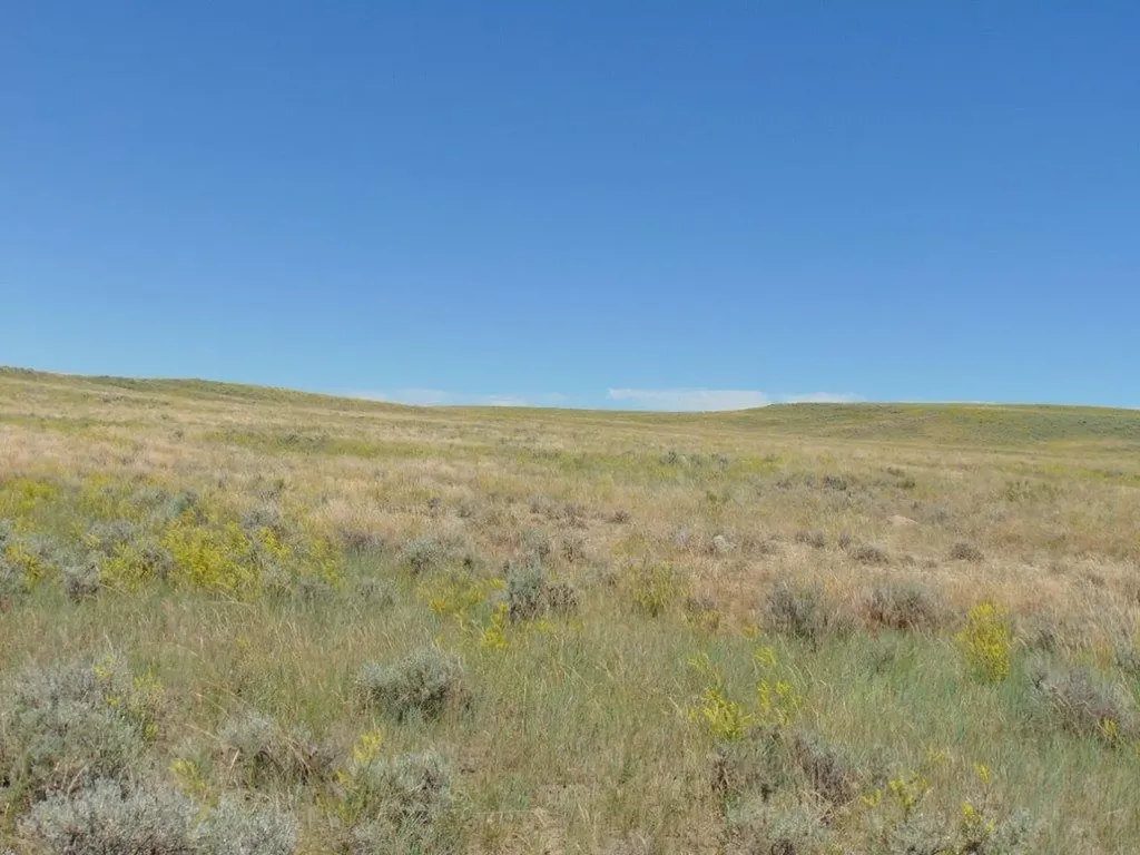 Tbd Wilder Trail Lewistown MT 59457