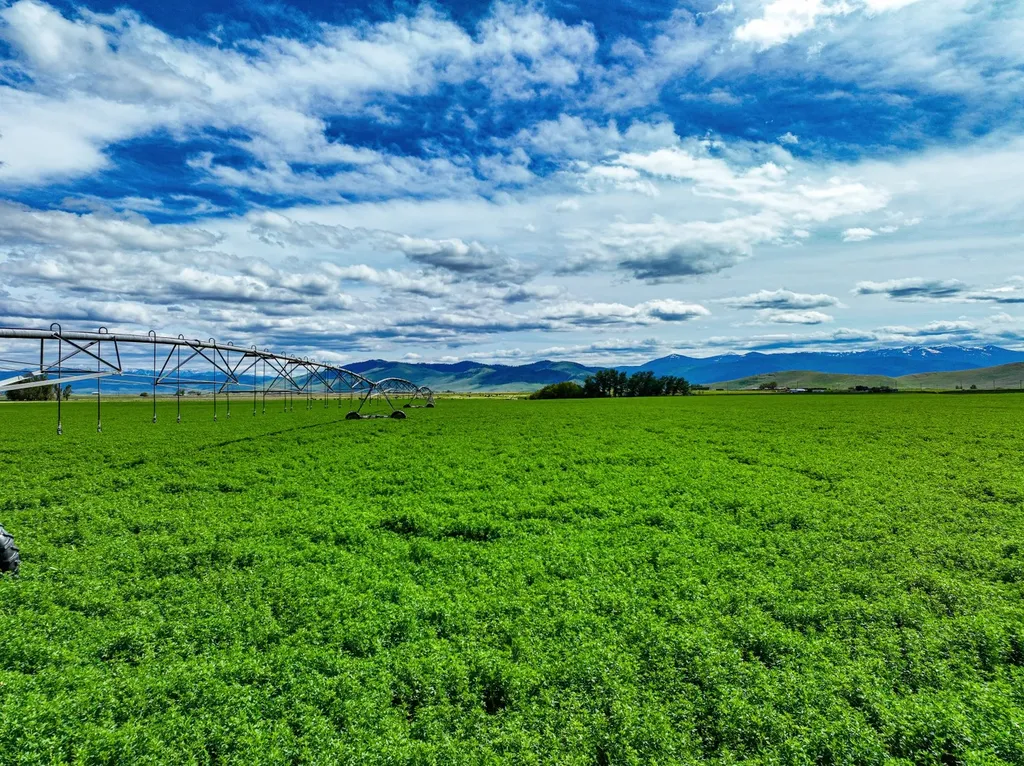 58406 Moiese Valley Road Charlo MT 59824