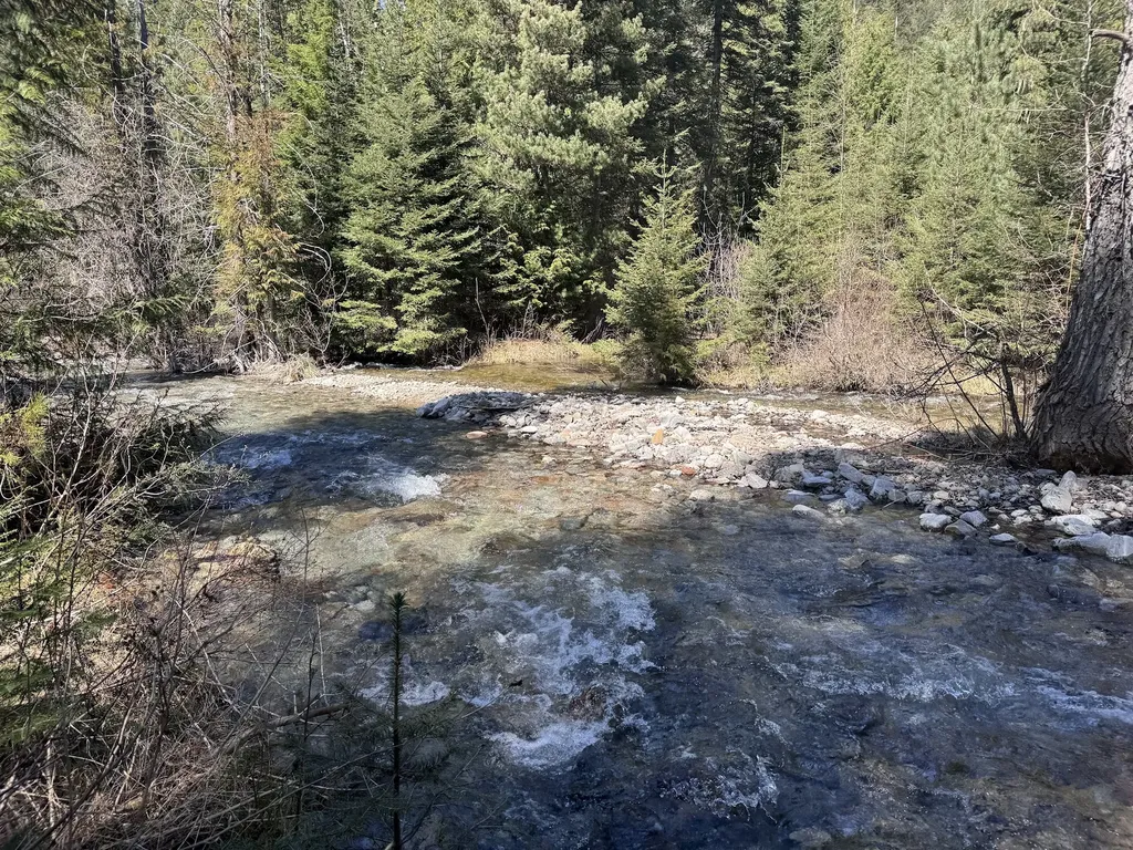 189 Blue Creek Road Heron MT 59844