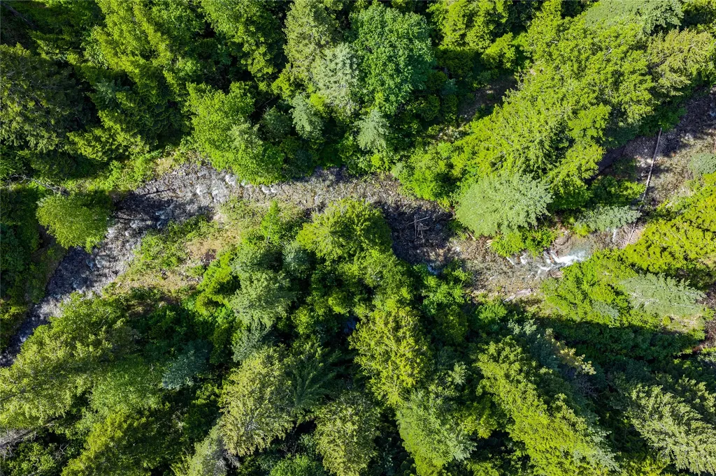 189 Blue Creek Road Heron MT 59844